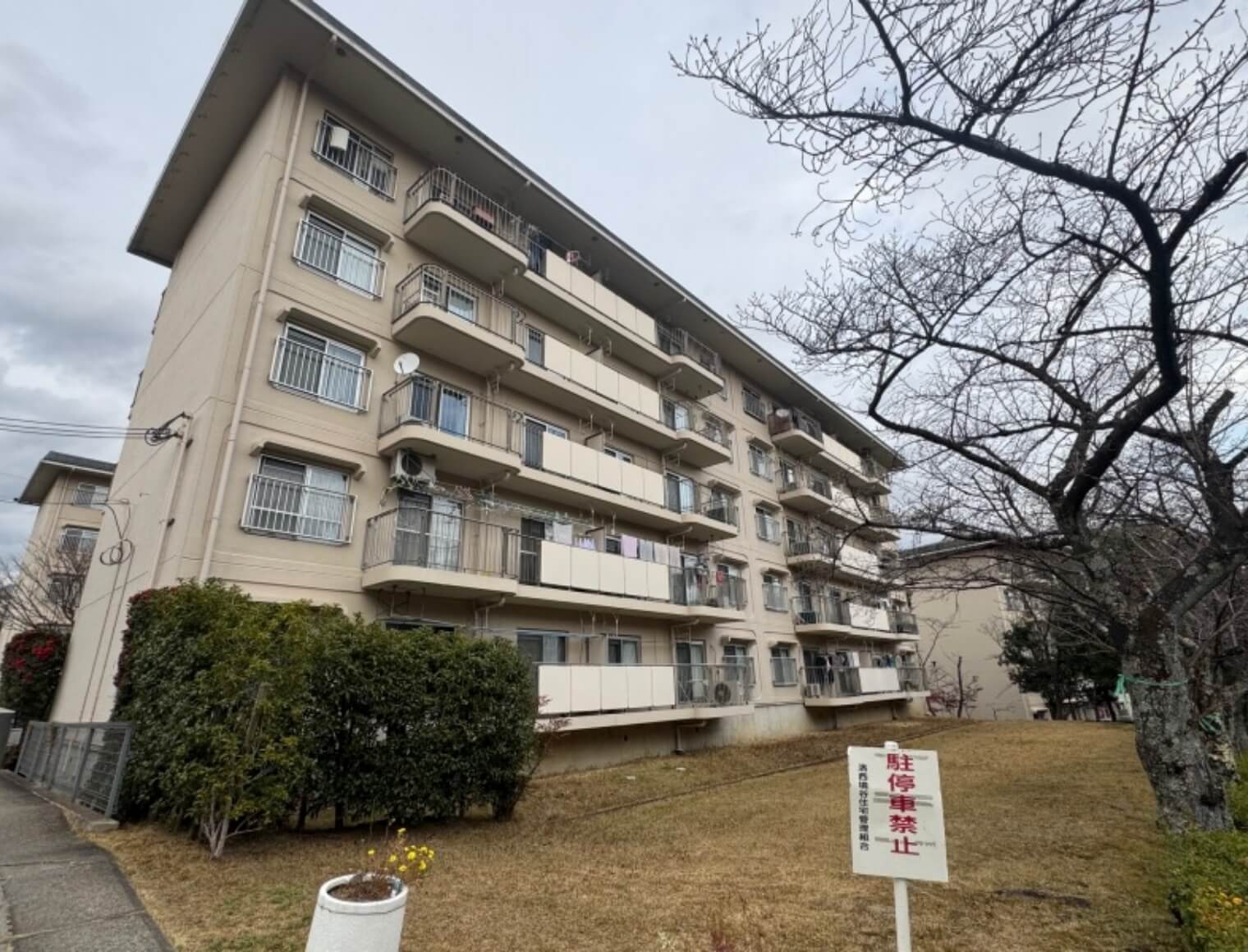 洛⻄境⾕団地７棟 404　外観